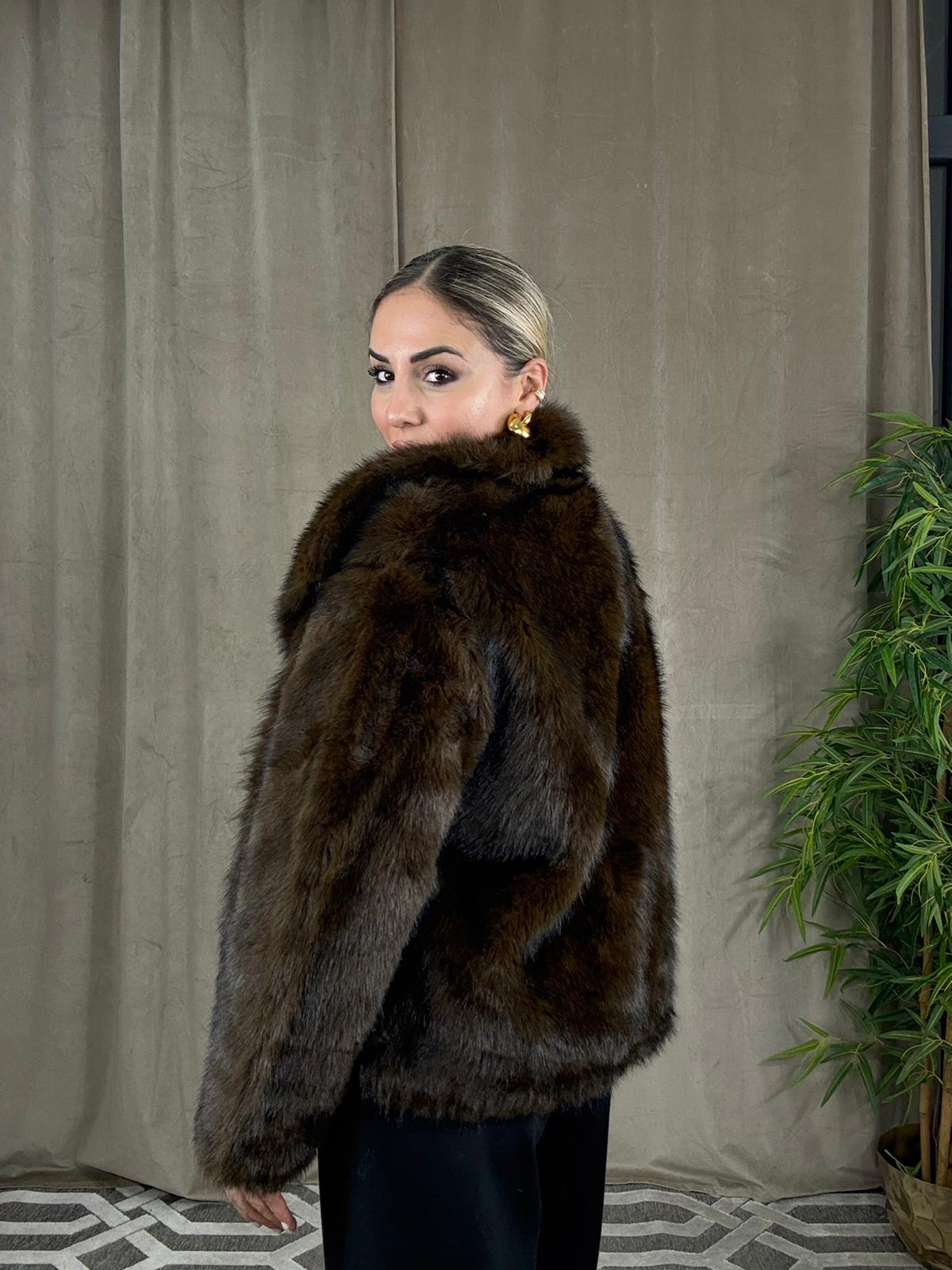 WhatsApp Image 2026-01-08 at 11.22.31 (1)