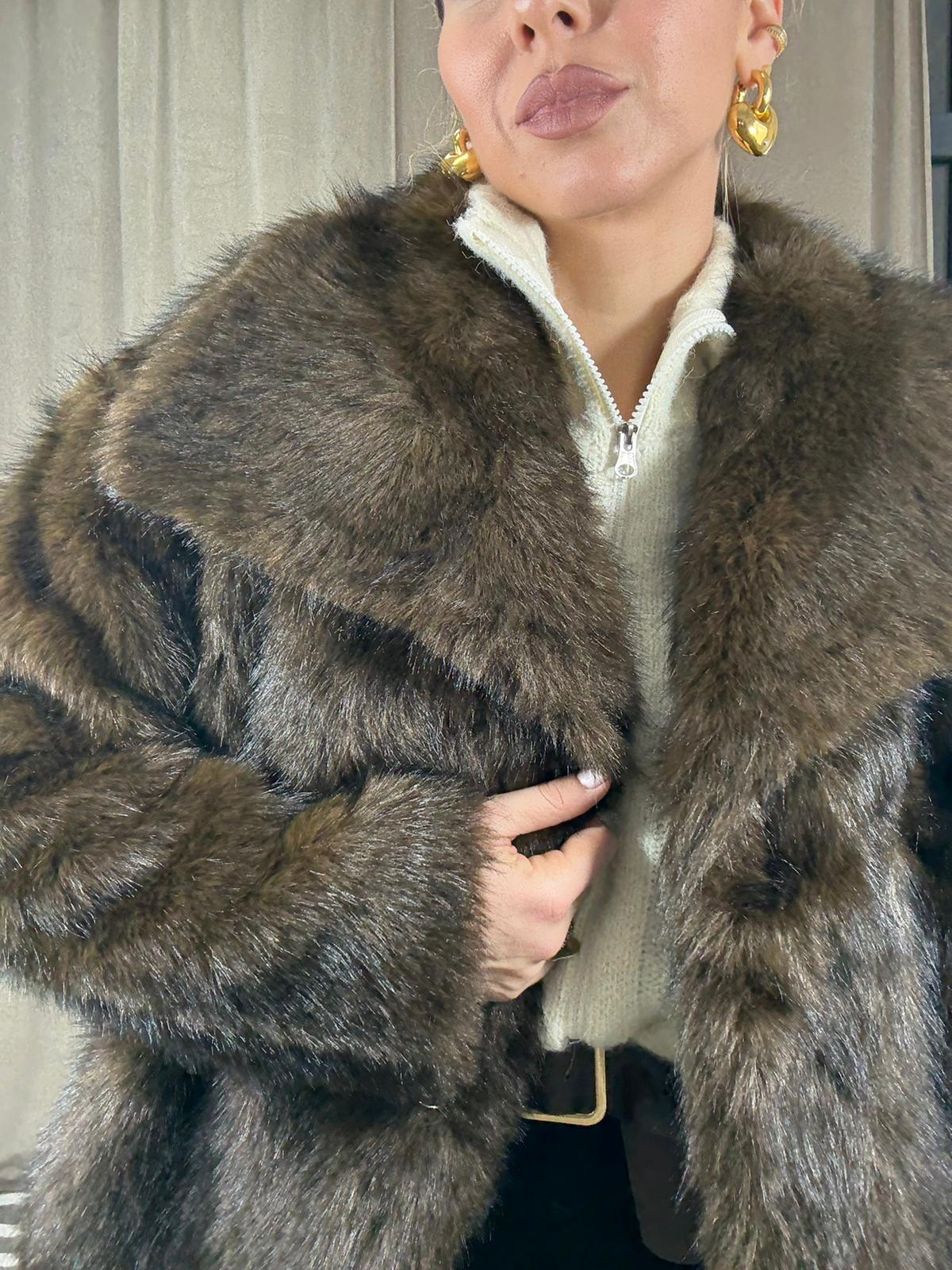 WhatsApp Image 2026-01-08 at 11.22.31