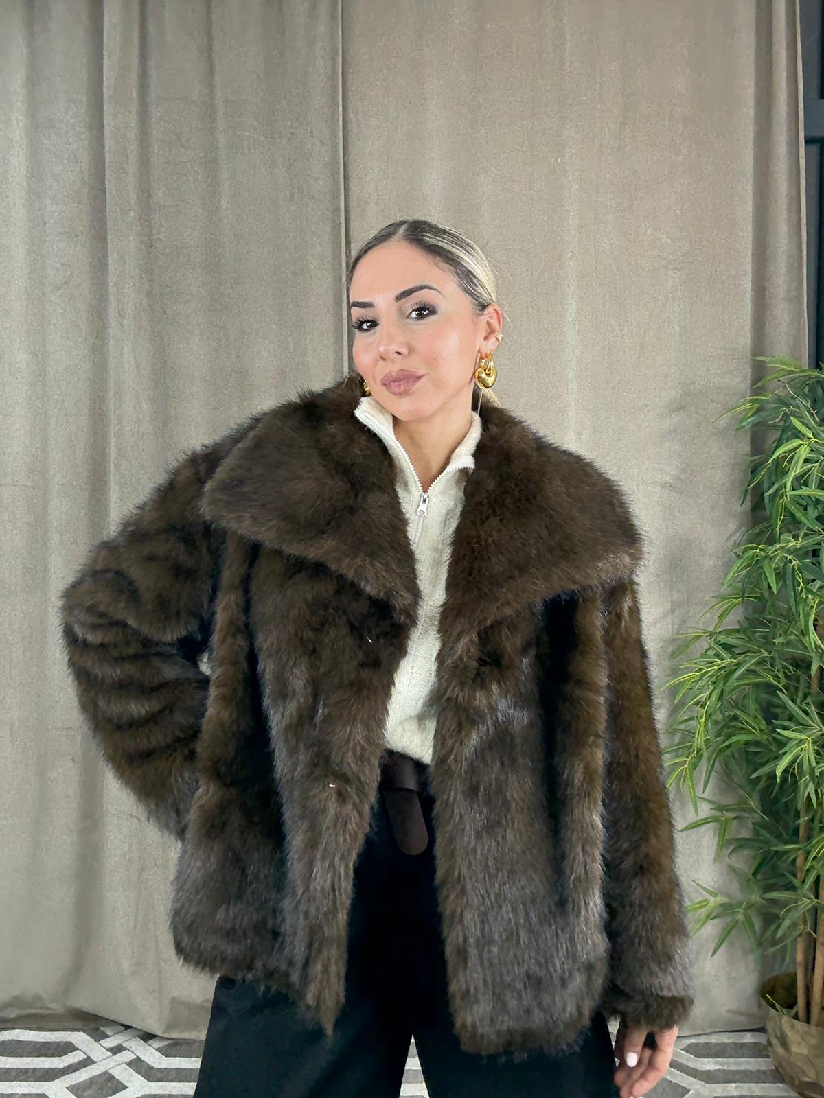 WhatsApp Image 2026-01-08 at 11.22.45