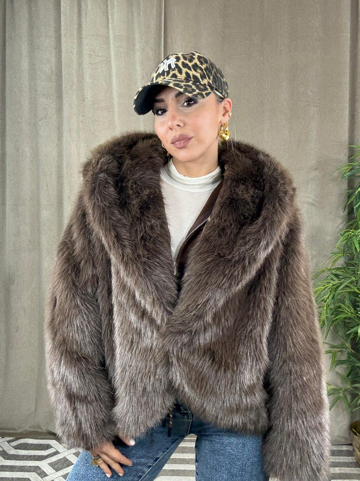 WhatsApp Image 2026-01-08 at 12.49.56