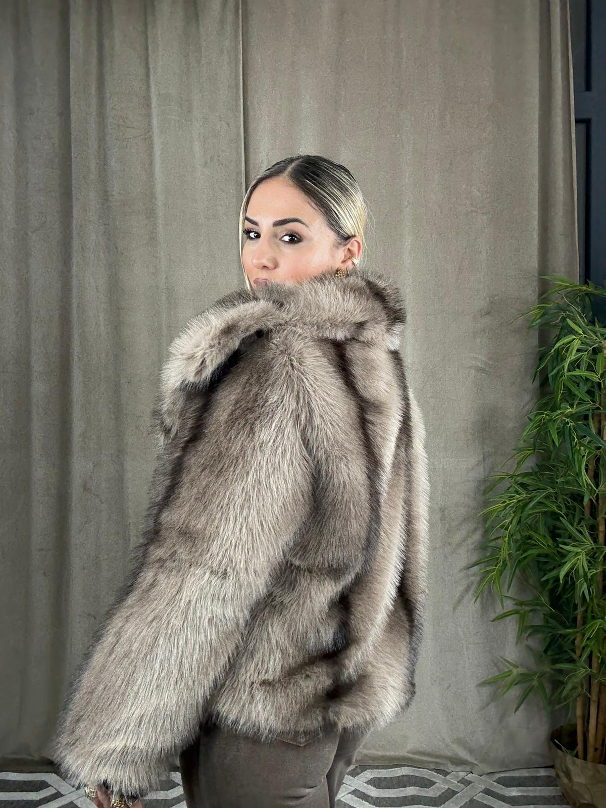 WhatsApp Image 2026-01-15 at 11.40.02 (1)