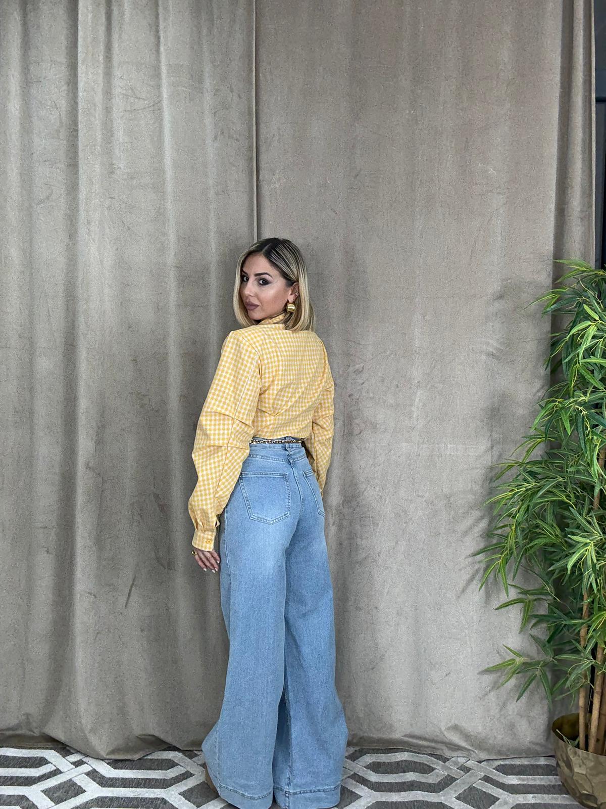 WhatsApp Image 2026-01-22 at 11.35.00 (2)